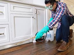 Best Pest Exclusion Services  in Mcgregor, TX